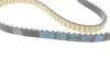 Комплект ГРМ FORD B-Max/C-Max/Fiesta/Focus/Mondeo/Tourneo/Transit "1,0-1,1 "12>> DAYCO KBIO02 (фото 2)