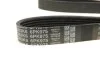Комплект ремня генератора DAYCO KPV333 (фото 5)