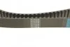 Комплект ГРМ IVECO/RENAULT/CITROEN/PEUGEOT/Trafic/Mascott/Master/Ducato/Daily ''90-02 DAYCO KTB305 (фото 3)