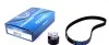 Комплект ГРМ RENAULT Clio/Kangoo/Modus/Thalia/Twingo "1,2 "01>> DAYCO KTB321