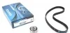 Комплект ГРМ FIAT/FORD/LANCIA 500/Doblo/Idea/Linea/Panda/Punto/Qubo/Ka/Ypsilon "1,2-1,4 "99>> DAYCO KTB466