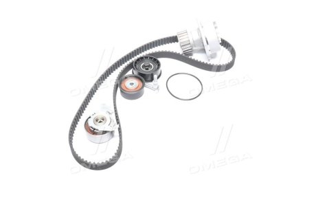 Фото 1 - комплект ГРМ с водяным насосом DAYCO KTBWP3080 Комплект ГРМ с водяным насосом DAYCO KTBWP3080 (фото 1)