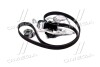 Комплект ГРМ+водяний насос AUDI/VOLKSWAGEN/A4(B6)/Passat(3B2)"00-05"96-01 DAYCO KTBWP3680 (фото 3)