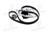Комплект ГРМ+водяний насос AUDI/VOLKSWAGEN/A4(B6)/Passat(3B2)"00-05"96-01 DAYCO KTBWP3680 (фото 3)