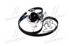 Комплект ГРМ+водяний насос AUDI/VOLKSWAGEN/A4(B6)/Passat(3B2)"00-05"96-01 DAYCO KTBWP3680 (фото 4)