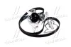 Комплект ГРМ+водяний насос AUDI/VOLKSWAGEN/A4(B6)/Passat(3B2)"00-05"96-01 DAYCO KTBWP3680 (фото 4)