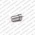 Розпилювач PEUGEOT/RENAULT 406/605/806/Clio "1,9/2,1D "94-05 Delphi 5641926 (фото 1)