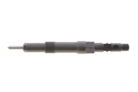 Форсунка паливна Delphi R01101D-12B1