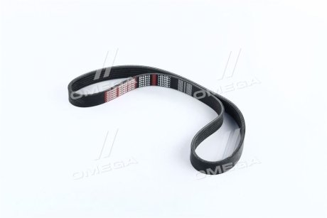 Ремень поликлиновый(приводной) Dongil 6PK810