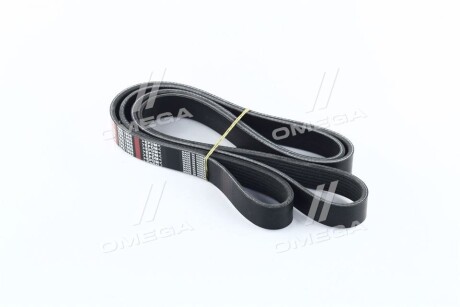 Ремень поликлиновый(приводной) Dongil 7PK1905
