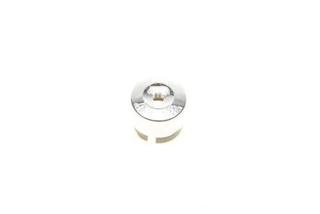 Ковпачок колісного болта VW Touareg (03-), T5 (09-11)  DPA 66010705302