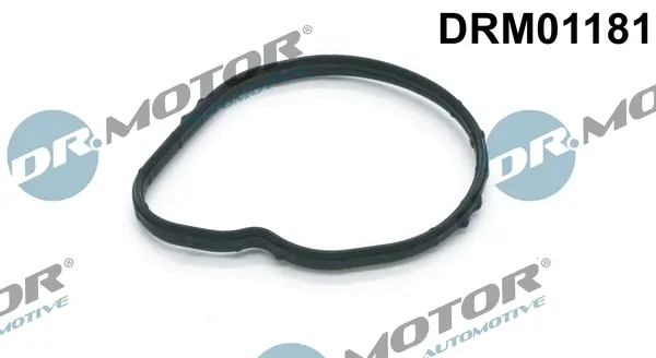 Прокладка двигателя резиновая DR.MOTOR DRM01181 (фото 1)