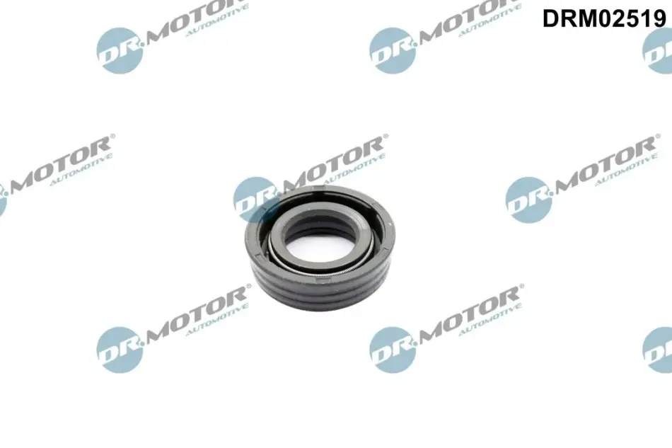 Кільце гумове DR.MOTOR DRM02519 (фото 1)