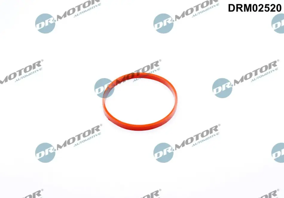 Прокладка двигуна гумова DR.MOTOR DRM02520 (фото 1)