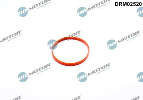 Прокладка двигуна гумова DR.MOTOR DRM02520