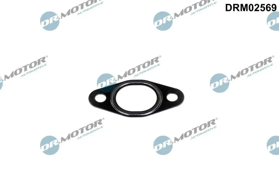 Прокладка двигуна металева DR.MOTOR DRM02569 (фото 1)