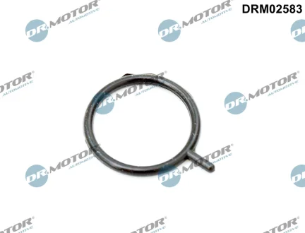 Кільце гумове DR.MOTOR DRM02583