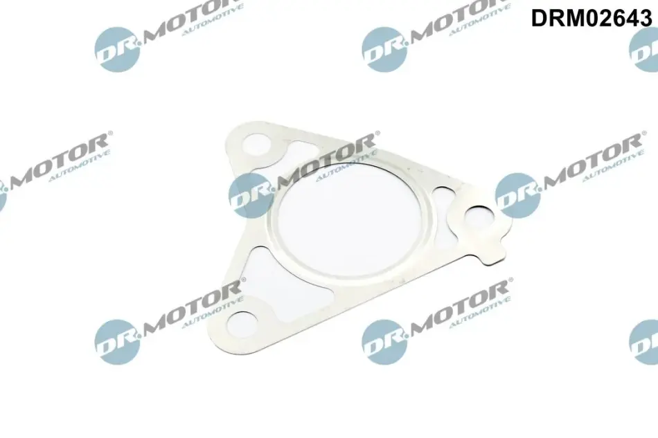 Прокладка двигуна металева DR.MOTOR DRM02643 (фото 1)