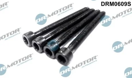 Комплект болтов с головкой системы TORX из черного металла DR.MOTOR DRM0609S