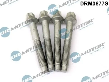 Комплект болтов с головкой системы TORX из черного металла DR.MOTOR DRM0677S