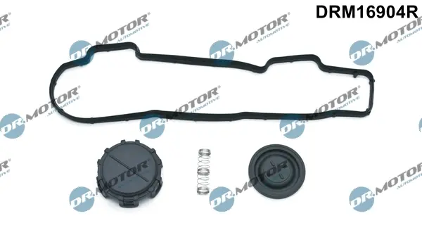 Комплект прокладок из разных материалов DR.MOTOR DRM16904R (фото 1)