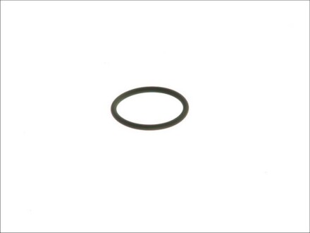 Уплотнительное кольцо DT 1.10173