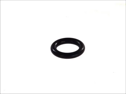 Уплотняющее кольцо DT 1.24250