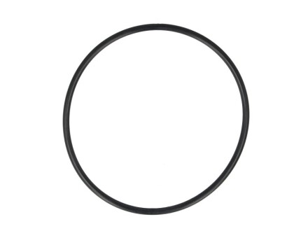 Уплотняющее кольцо DT 4.20329