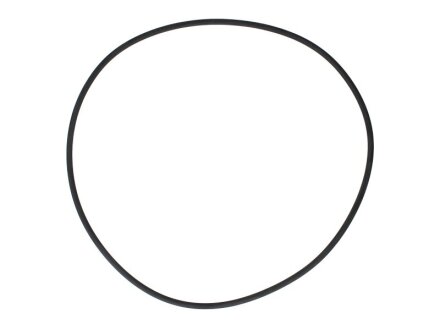 Ущільнювальне кільце DT 4.20393