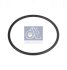 Ущільнювальне кільце DT 7.11165 (фото 1)
