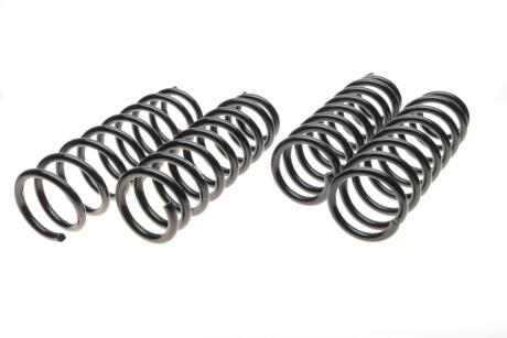 Комплект пружин. EIBACH E10-20-018-01-22