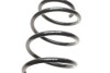 Комплект пружин. EIBACH E10-20-031-02-22 (фото 4)