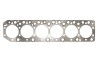 Прокладка головки блока цилиндров ELRING 225.100 (фото 1)