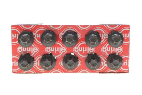 Комплект болтов головки цилиндра (10 шт.)) ELRING 249200