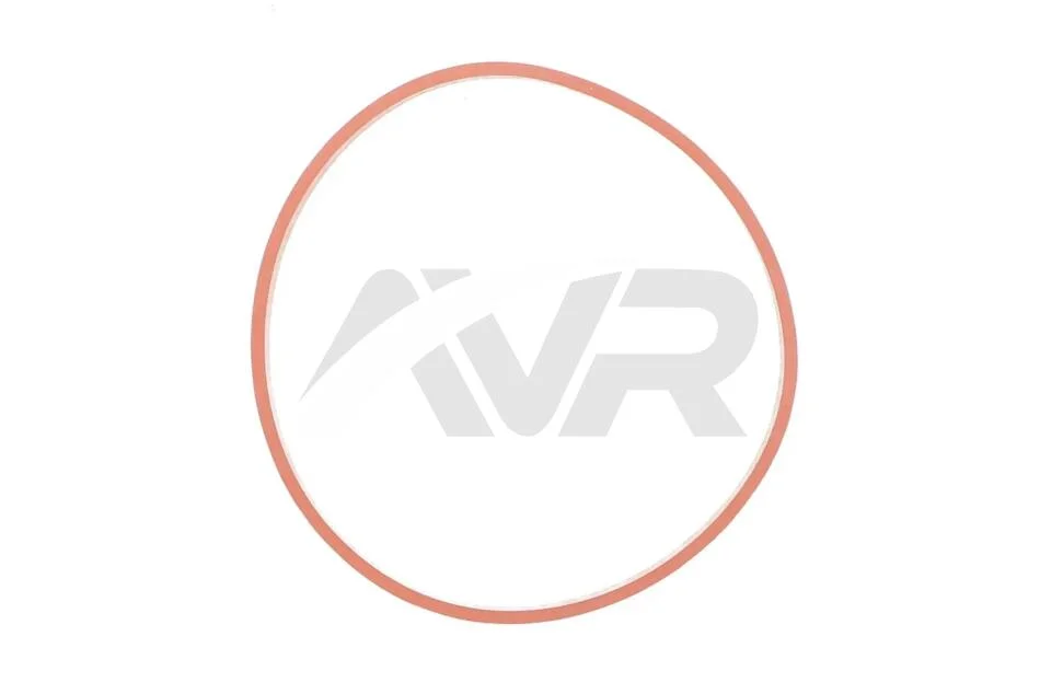 Прокладка корпуса коллектора впускного ELRING 303.520 (фото 1)