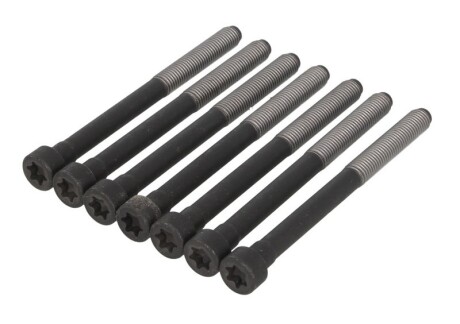 Комплект болтів головки циліндра ELRING 376660