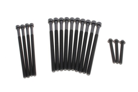 Болты ГБЦ ELRING 459.450