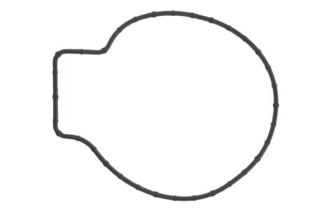 Прокладка водяної помпи ELRING 533000