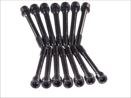 Комплект болтов гбц ELRING 710.100