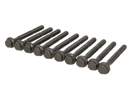 Болты ГБЦ (к-кт 10 шт) ELRING 760.720