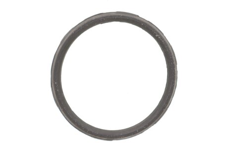 Прокладка термостата Renault Clio/Megane/Talisman 1.6 TCe 13- ELRING 792.310