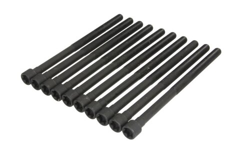 Комплект болтів головки циліндра ELRING 794470