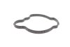 Прокладка термостата BMW 1 (F40) 19-/2 (F45/F44/F46) 1.5d/2.0d (B37/B47) 13- ELRING 916.480 (фото 3)