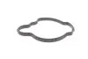 Прокладка термостата BMW 1 (F40) 19-/2 (F45/F44/F46) 1.5d/2.0d (B37/B47) 13- ELRING 916.480 (фото 3)
