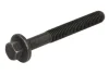 Болт кріплення форсунки CR RENAULT AVANTIME, ESPACE III, ESPACE IV, LAGUNA II, MASTER II, MEGANE II, THALIA III, TRAFIC II, VEL SATIS 1.5D/2.2D/2.5D 12.97- ENGITECH ENT2505581 (фото 1)