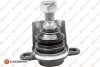 Опора кульова (передня/знизу) VW Sharan 95-10 EUROREPAR 1634870580 (фото 1)