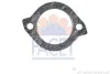 Уплотнительное кольцо термостата Kia Rio 1.5 16v (02-05) Facet FACET 7.9520 (фото 1)