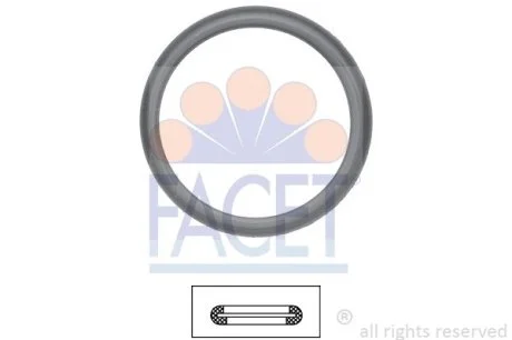Уплотнительное кольцо термостата Ford Tourneo connect 1.8 16v (02-13) Facet FACET 7.9598