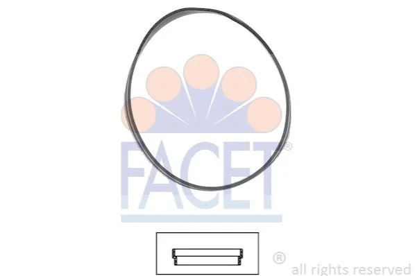 Уплотнительное кольцо термостата Bmw 3 316 ci (00-06) Facet FACET 7.9631 (фото 1)