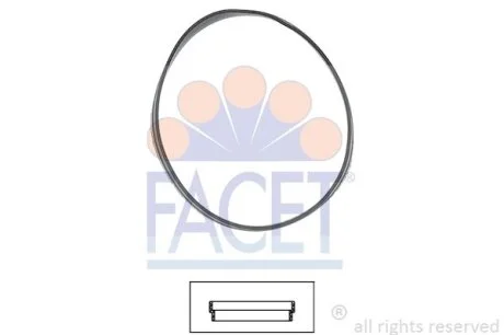 Уплотнительное кольцо термостата Bmw 3 316 ci (00-06) Facet FACET 7.9631